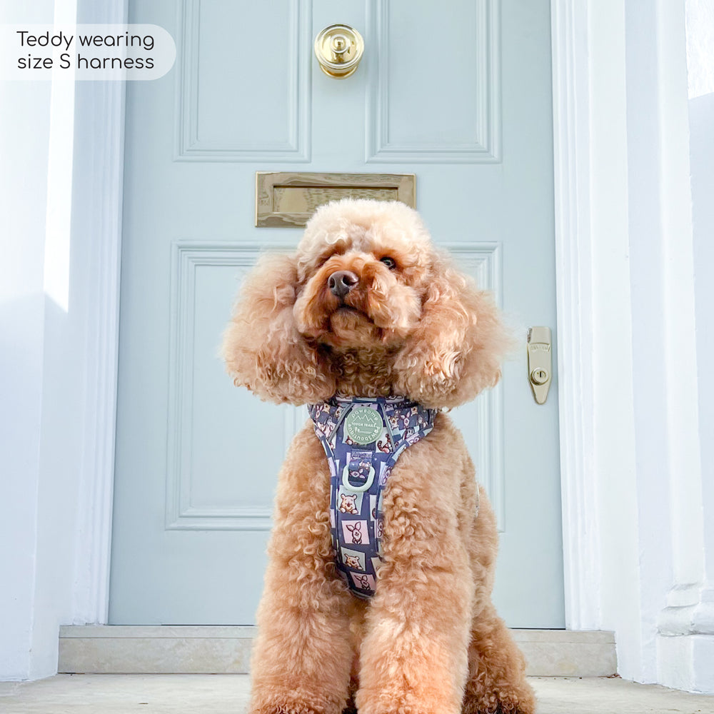 Disney© Tough Trails™ Harness -  Winnie + Friends