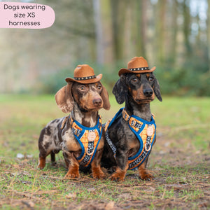 Disney© Tough Trails™ Harness - Woody