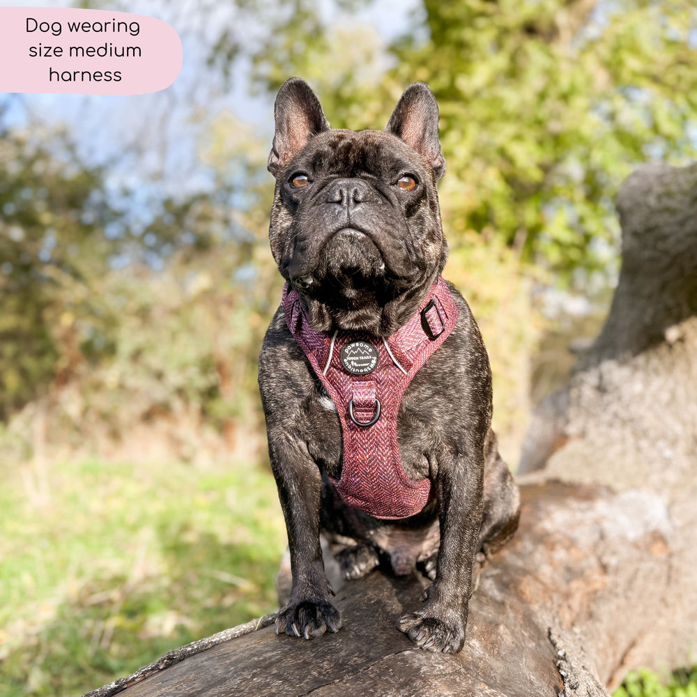 Tough Trails™ Harness - Country Burgundy