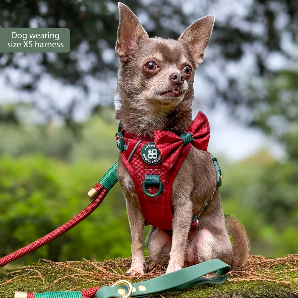 Tough Trails™ Harness - Walkies Ready® Snowy Mountains