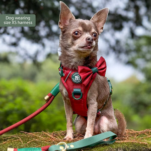 Tough Trails™ Harness - Walkies Ready® Snowy Mountains