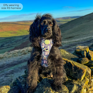 Disney© Tough Trails™ Harness -  Winnie + Friends