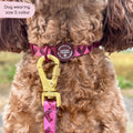 Collar - Walkies Ready® Mulberry