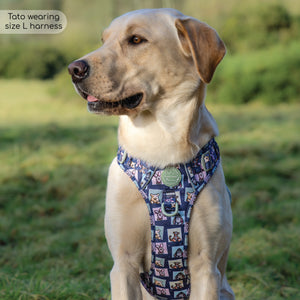 Disney© Tough Trails™ Harness -  Winnie + Friends