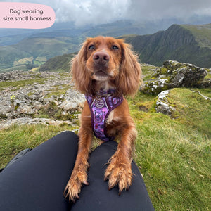 Tough Trails™ Harness - Roaming Wild