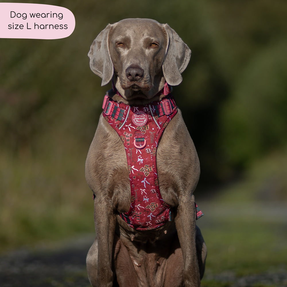Tough Trails™ Harness - Bows Of Joy