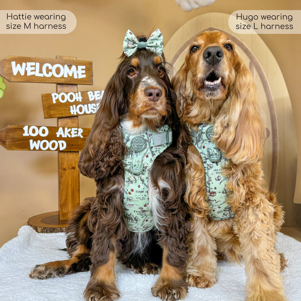 Disney© Tough Trails™ Harness - 100 Aker Wood