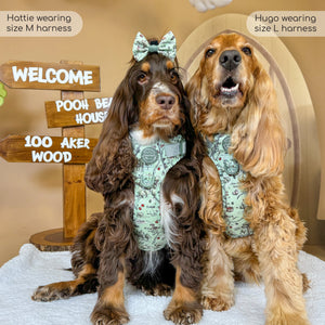 Disney© Tough Trails™ Harness - 100 Aker Wood