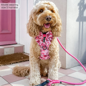 Tough Trails™ Harness - Mean Girls