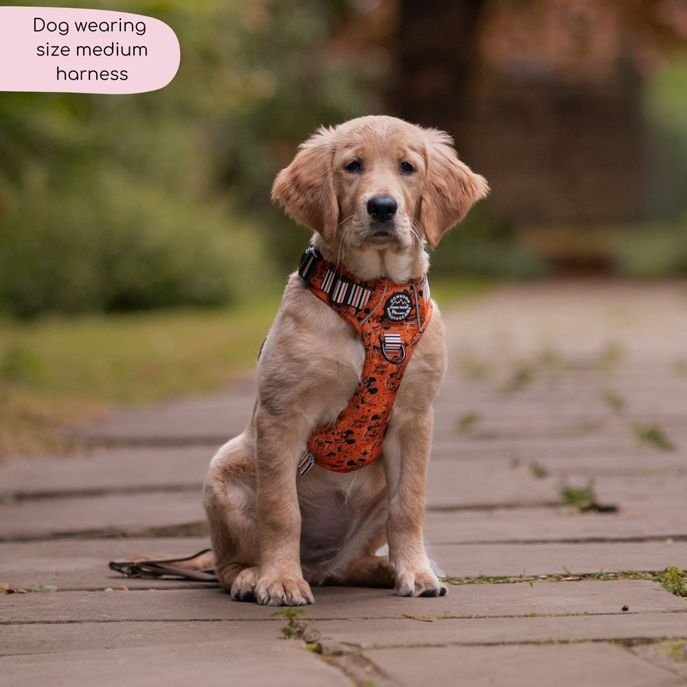 Disney© Tough Trails™ Harness - Halloween