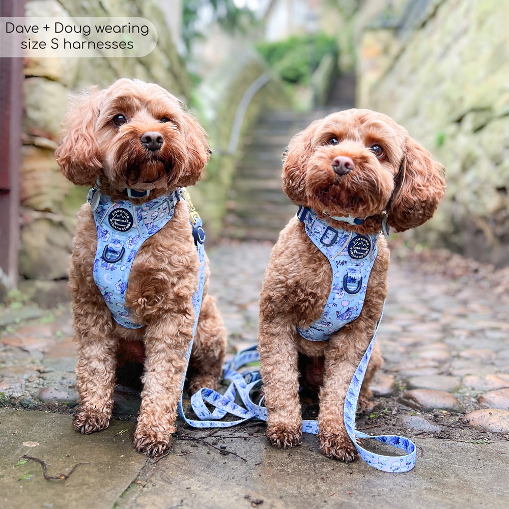 Disney© Tough Trails™ Harness - Eeyore