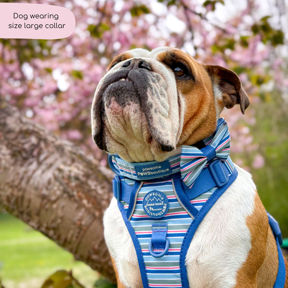 Collar - Sailor Stripes