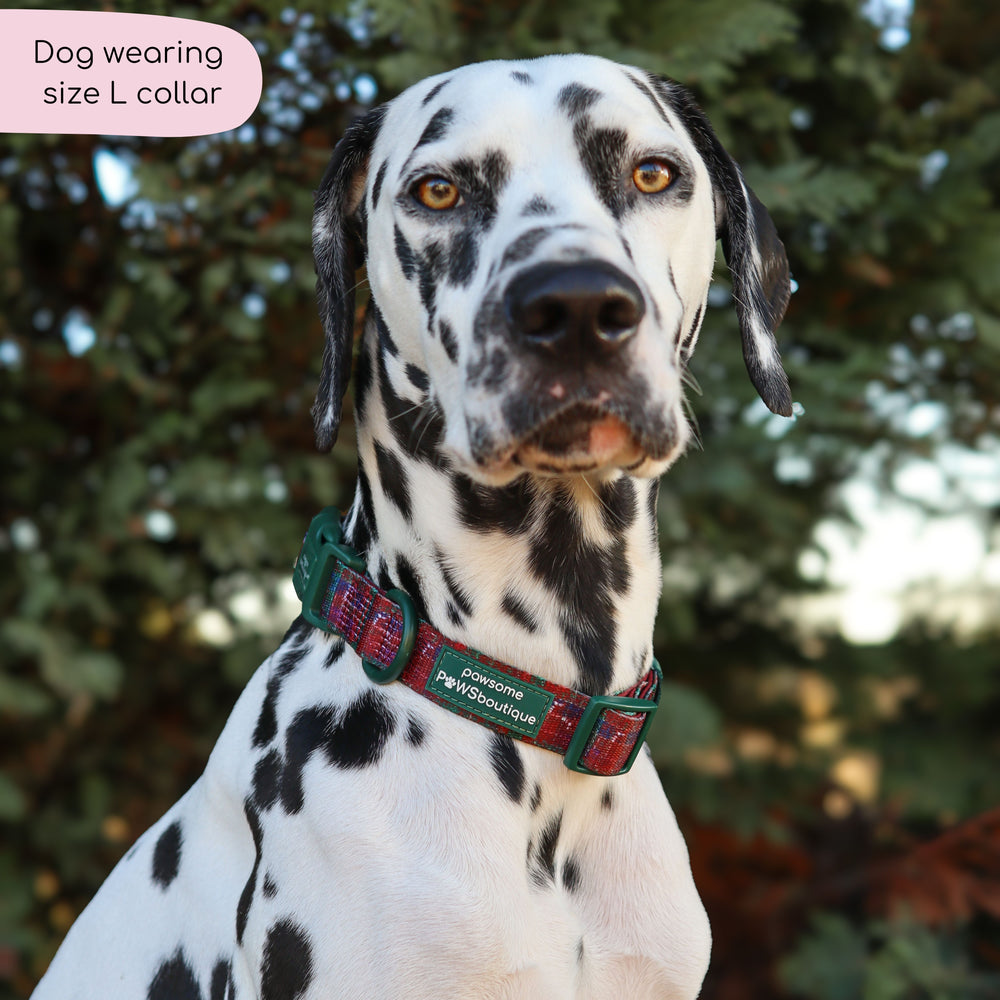Collar - Yuletide Plaid