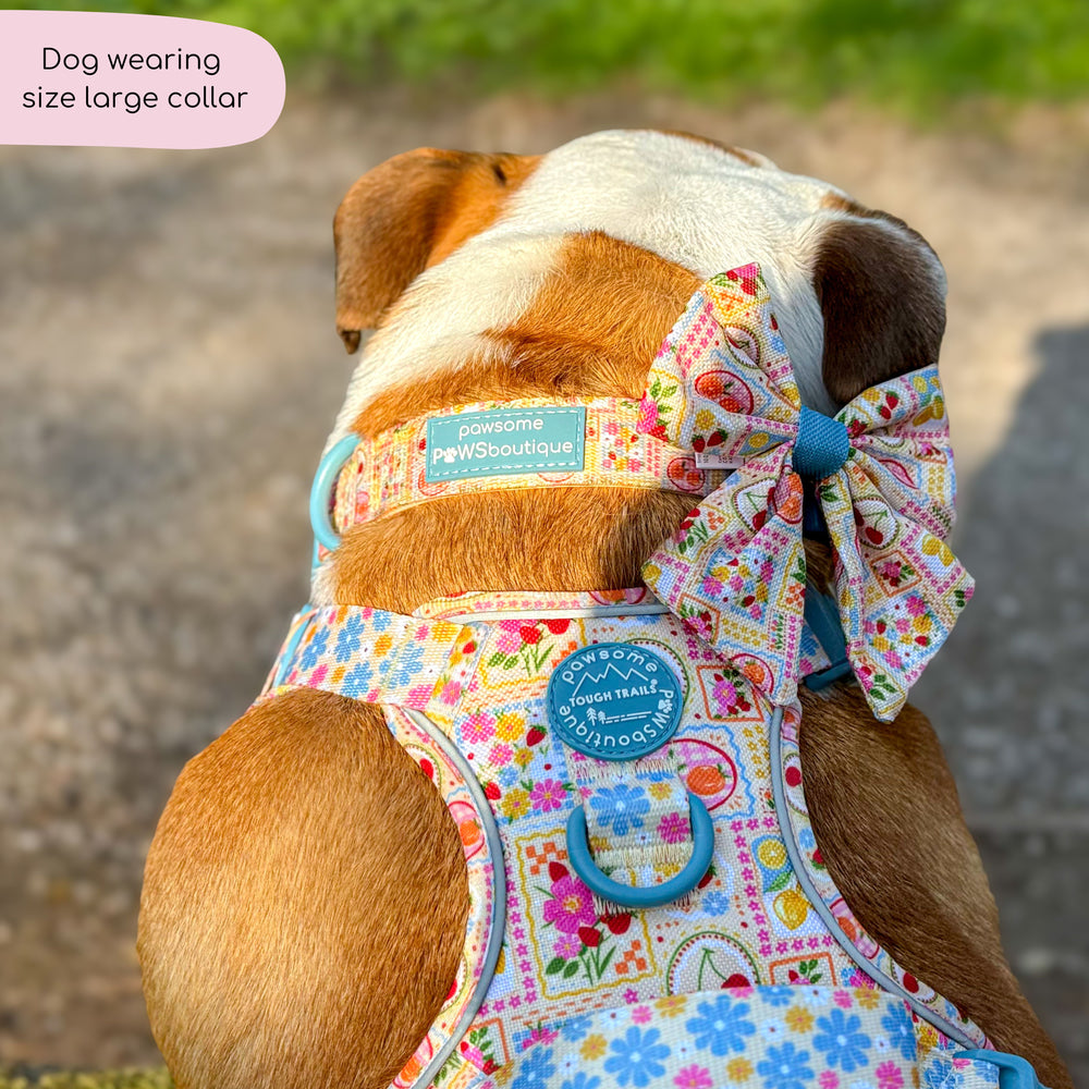 Collar - Summer Vacay