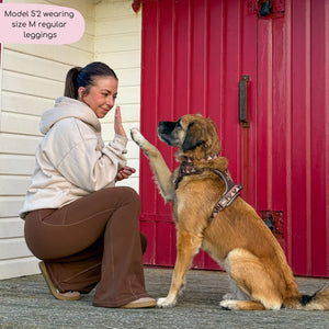 Flared Leggings - Brown