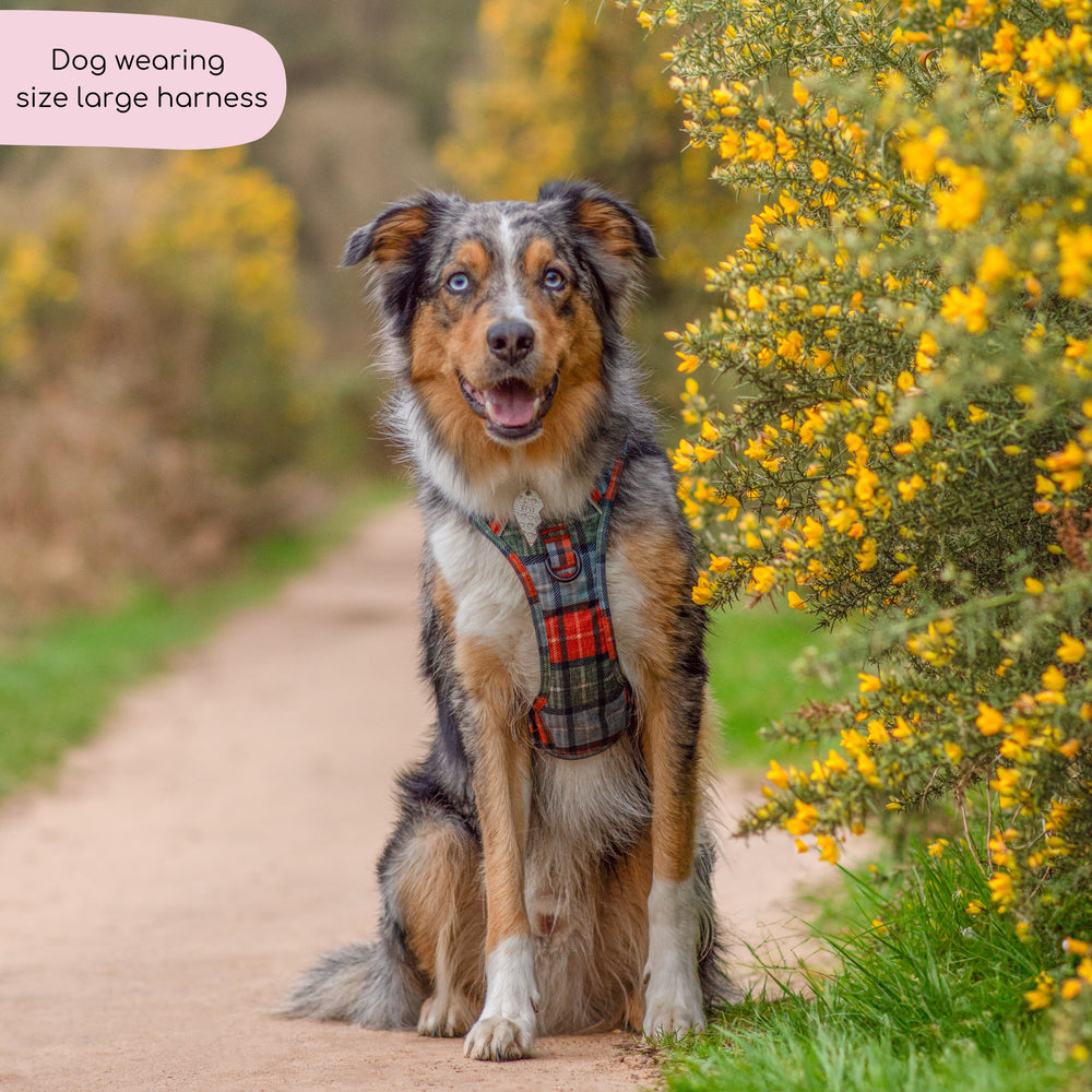 Tough Trails™ Harness - Harvest Plaid