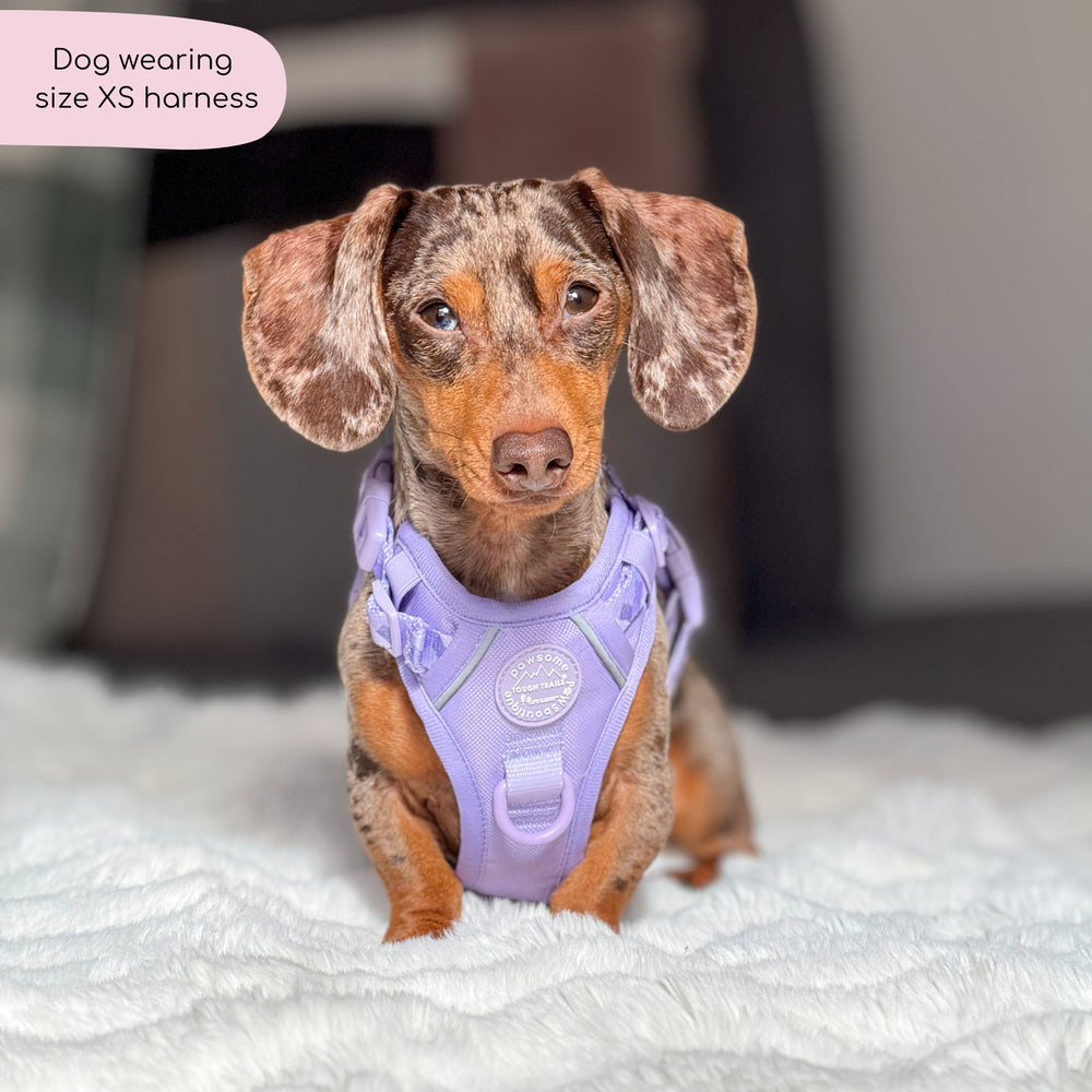 Tough Trails™ Harness - Walkies Ready® Lavender Lilac