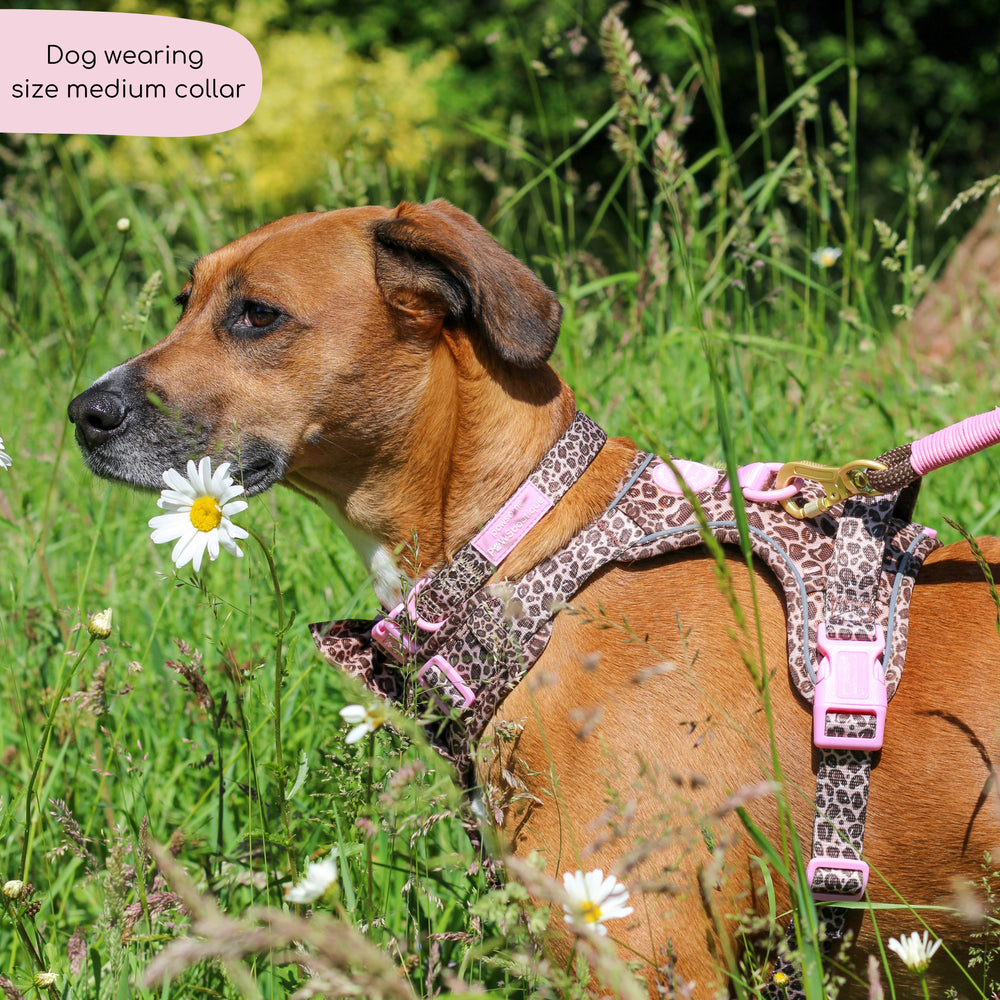Collar - Leopard Print