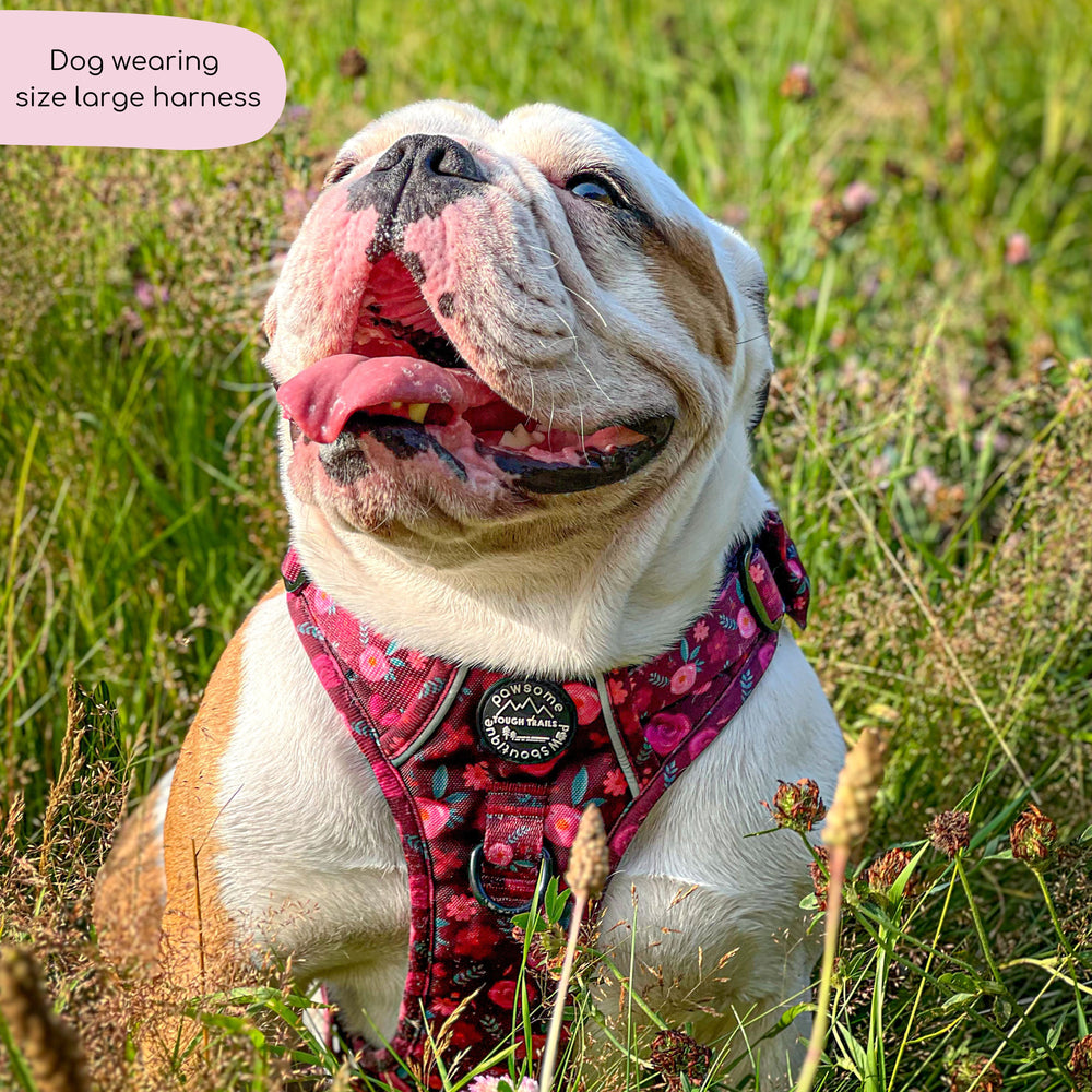 Tough Trails™ Harness - Mable's Meadow