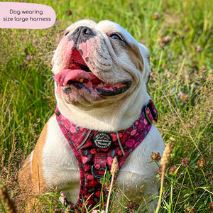 Tough Trails™ Harness - Mable's Meadow