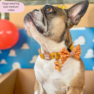 Disney© Waterproof Collar - Woody