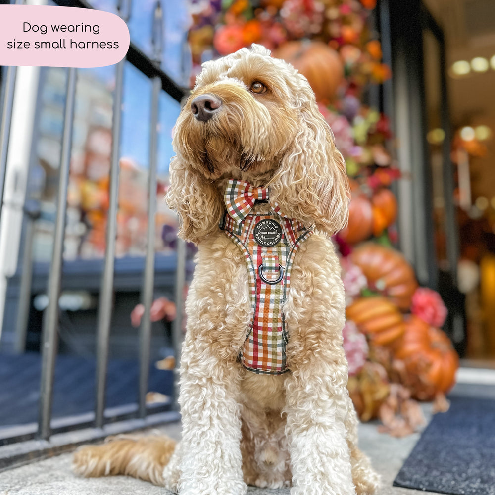 Tough Trails™ Harness - Plaid Pup