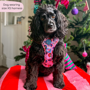 Disney© Tough Trails™ Harness - Princess