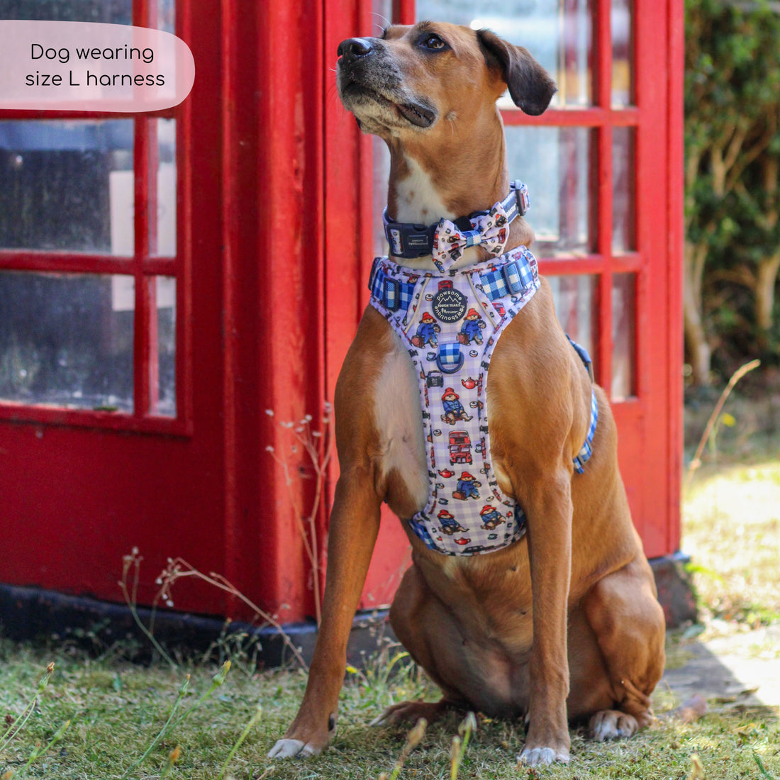 Paddington™ Tough Trails™ Harness - London