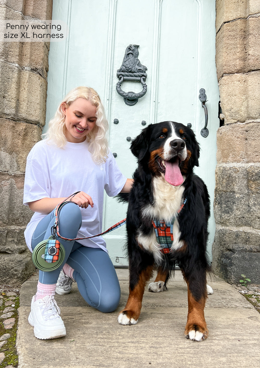 Poo Bag Holder - Harvest Plaid