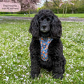 Tough Trails™ Harness -  Rise & Shine
