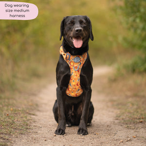 Tough Trails™ Harness - Celestial Spirit