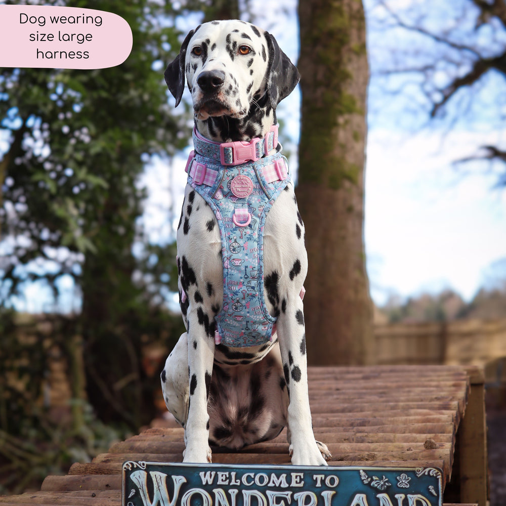 Disney© Tough Trails™ Harness - Mad Hatters Tea Party