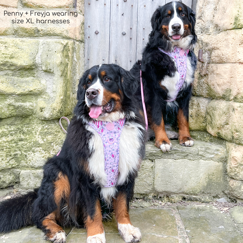 Disney© Tough Trails™ Harness - Piglet