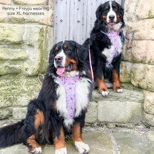 Disney© Tough Trails™ Harness - Piglet