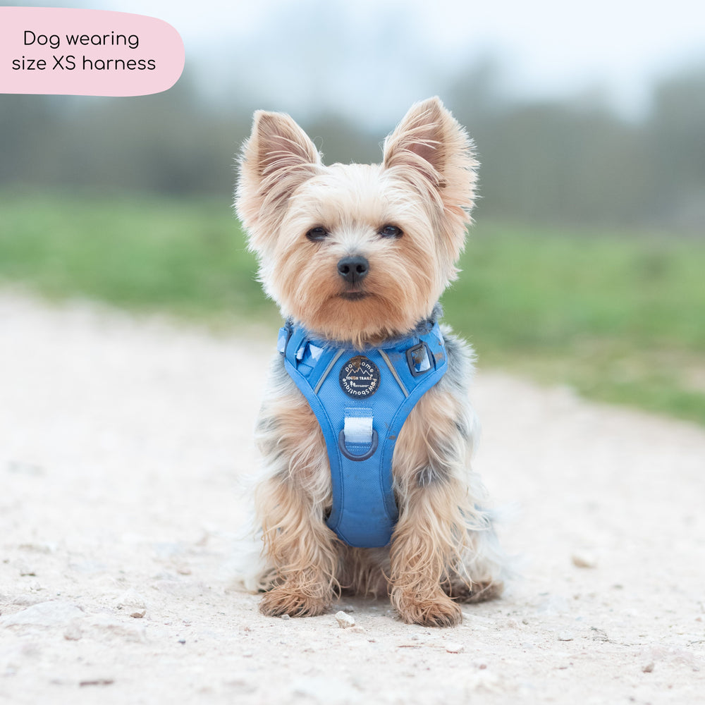 Tough Trails™ Harness - Walkies Ready® Cornflower Blue