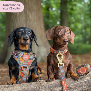 Collar - Rust & Bloom