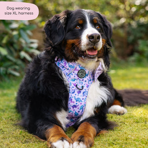 Tough Trails™ Harness - Tiny Diny