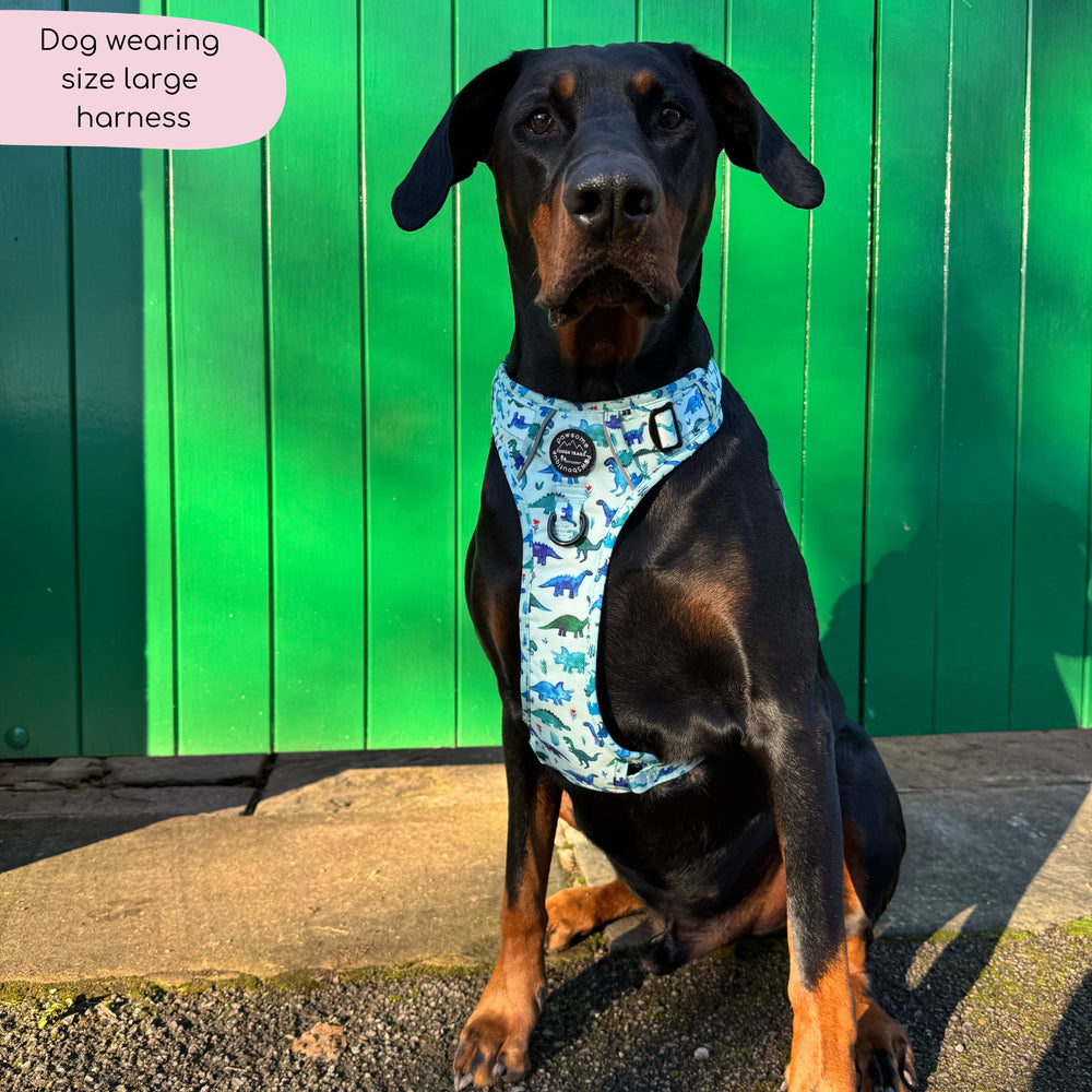 Tough Trails™ Harness - Dinky Dino