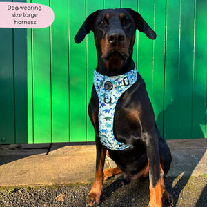 Tough Trails™ Harness - Dinky Dino