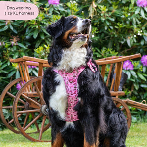 Tough Trails™ Harness -  Cowgirl