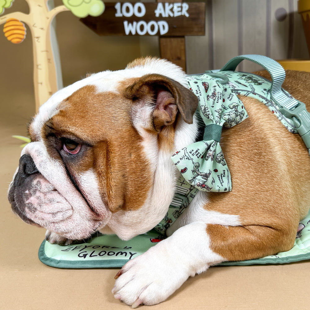 Disney© Bow Tie - 100 Aker Wood