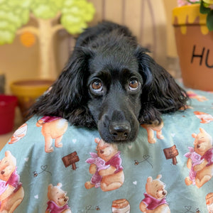 Disney© Dog Blanket - Winnie The Pooh