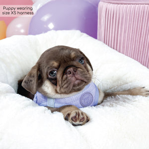 Pawsome Pup Harness - Lilac