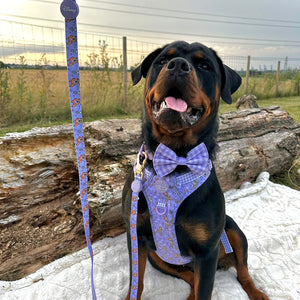 Disney© Lead - Bambi + Friends Lilac