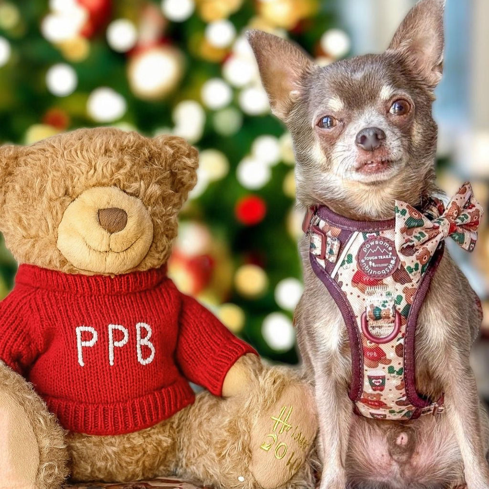 Bow Tie - Snuggle Season