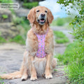 Disney© Tough Trails™ Harness - Nala