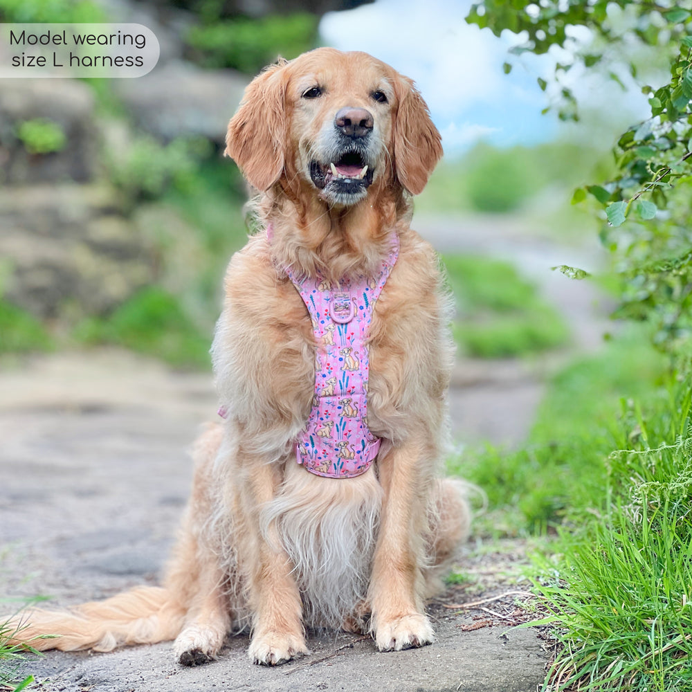 Disney© Tough Trails™ Harness - Nala