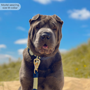 Disney© Waterproof Collar - Simba