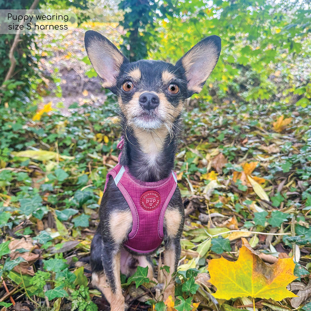 Pawsome Pup Harness - Burgundy