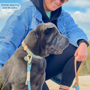 Disney© Waterproof Collar - Lion Friends